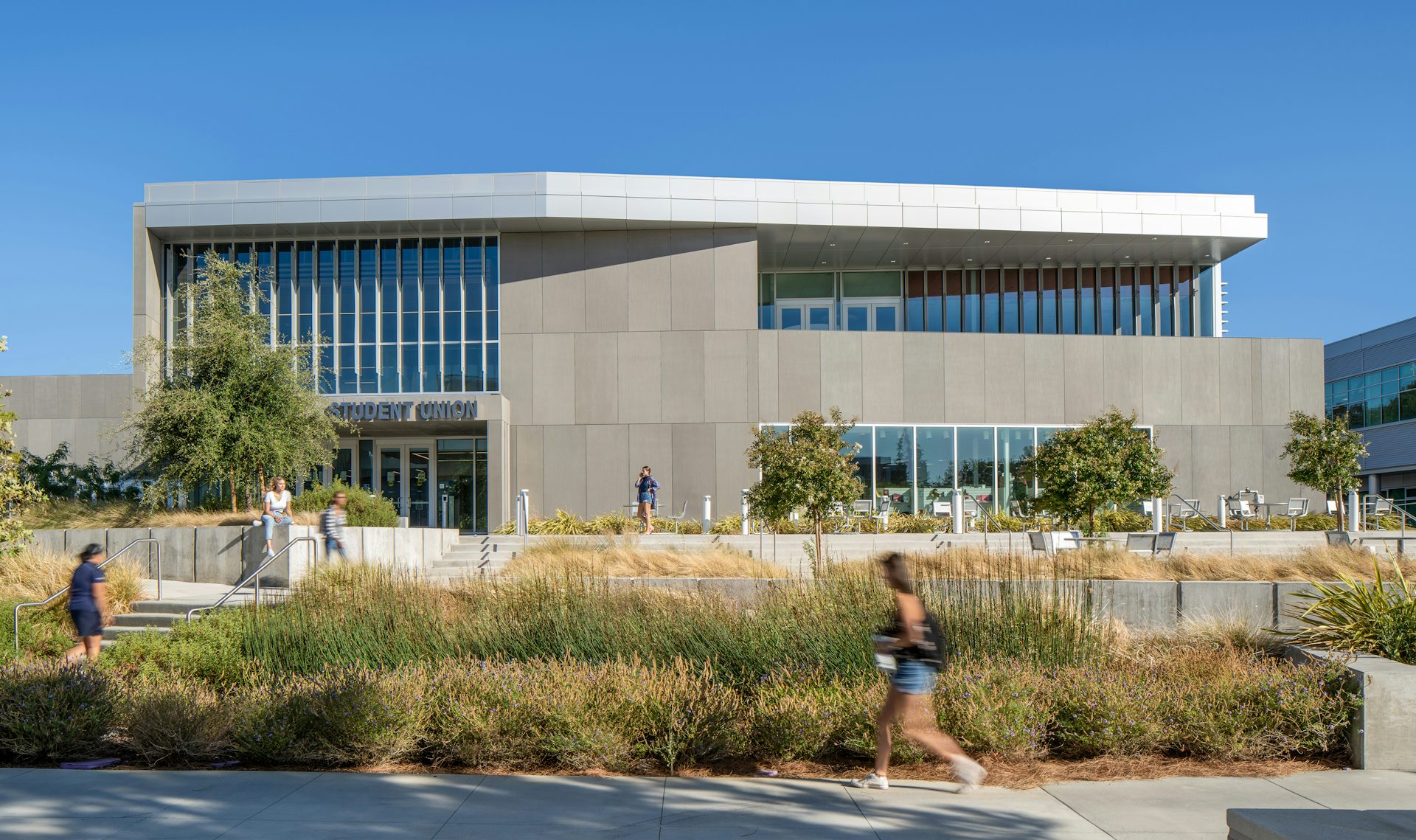 Los Medanos College