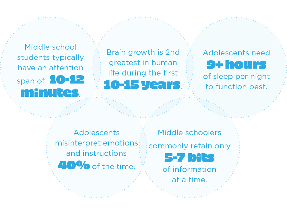 Catalyst Quarter 2 2024 Feature Mind Of A Middle Schooler Image7