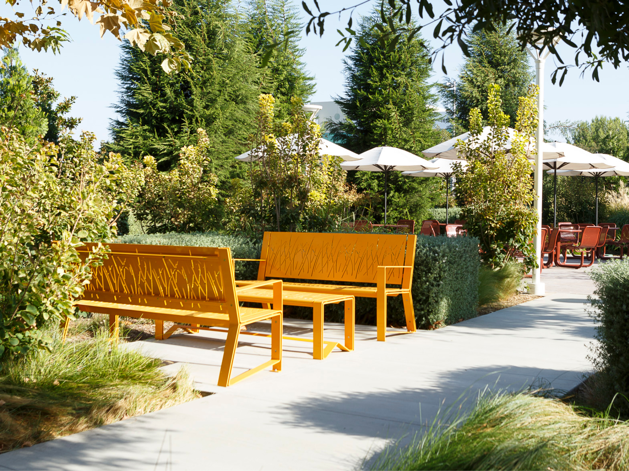 Feature Carbon Positive Landscape Photo 1