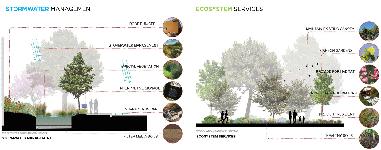 Feature Carbon Positive Landscape Stomwater Mgmt Ecosystem Service