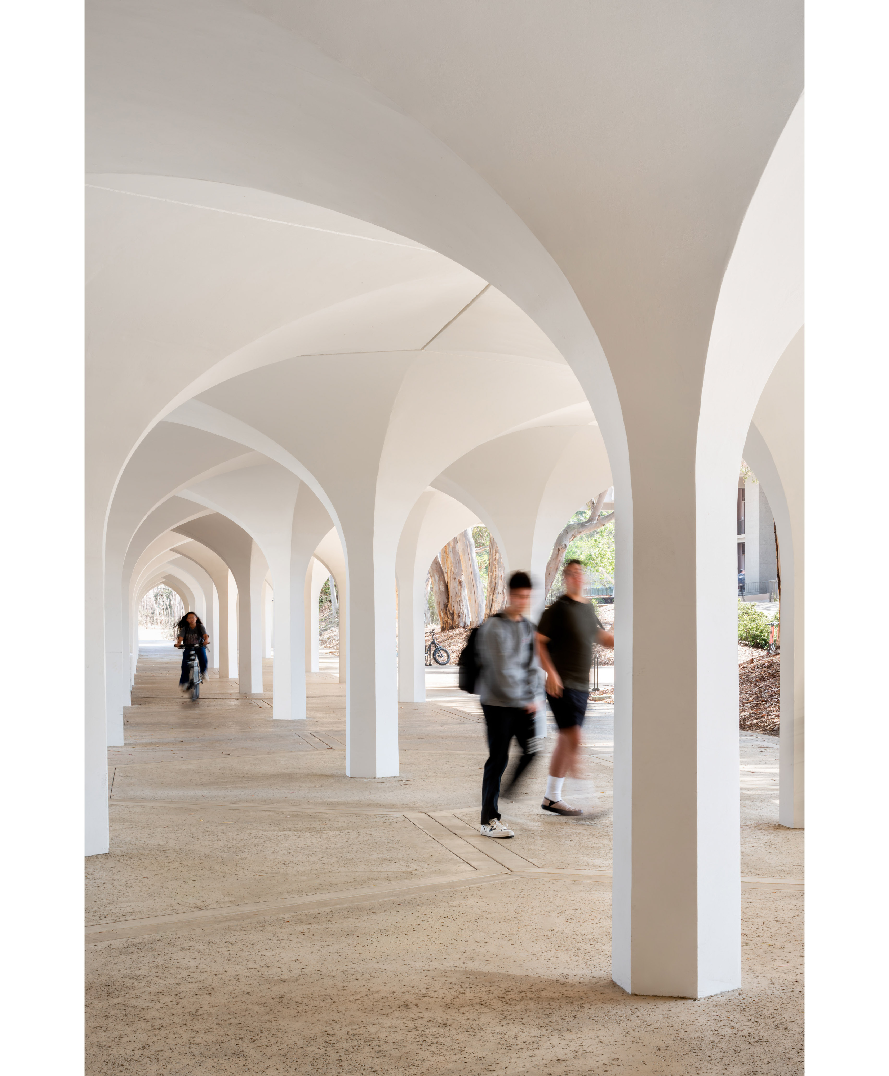 Integrated York Article Column6b