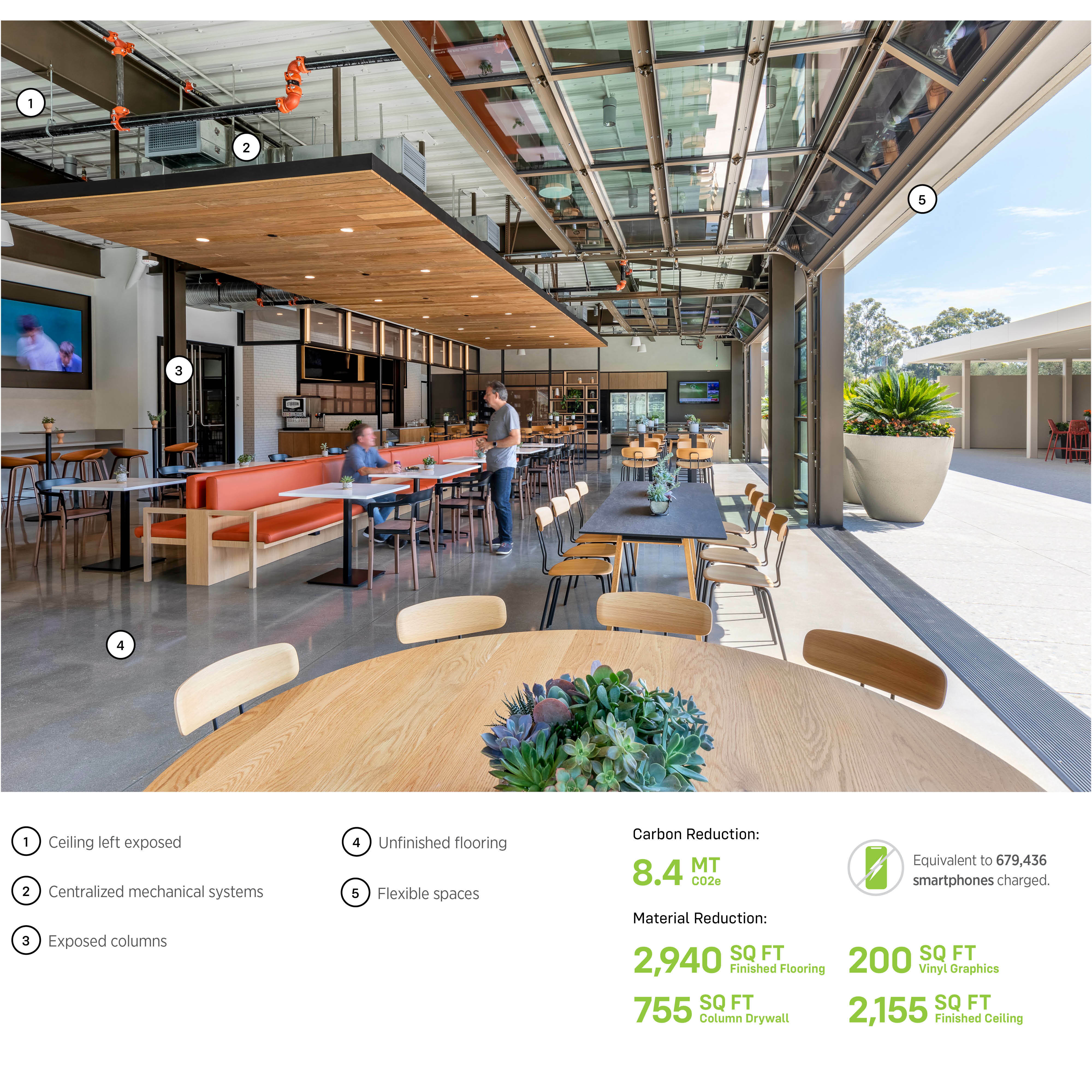 Hidden Carbon Image 1