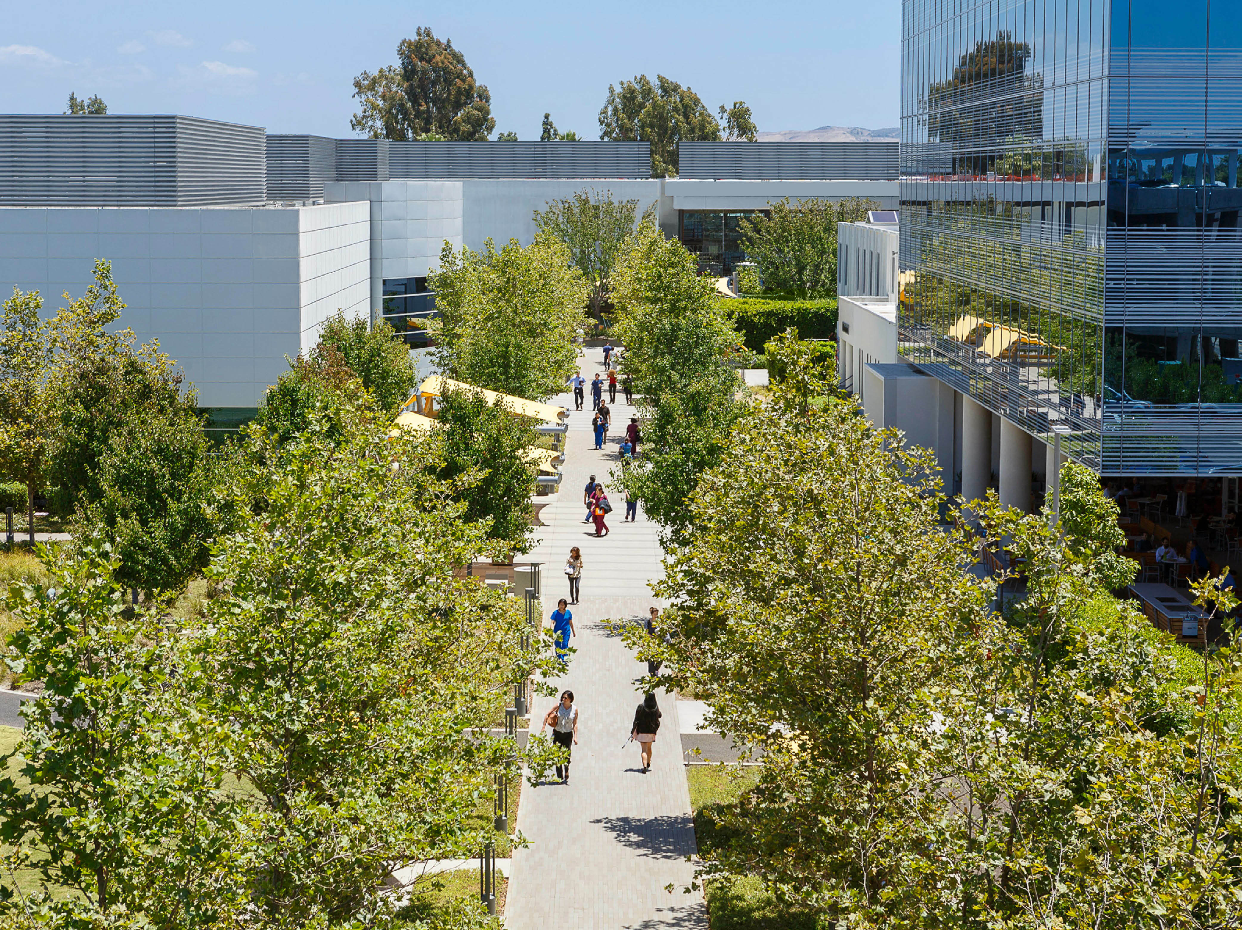 Finding the ROI in Placemaking - LPA