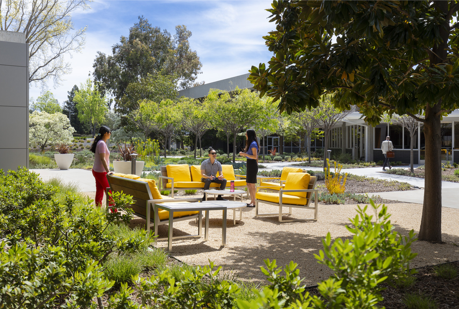 1903510 Page Mill N4 medium