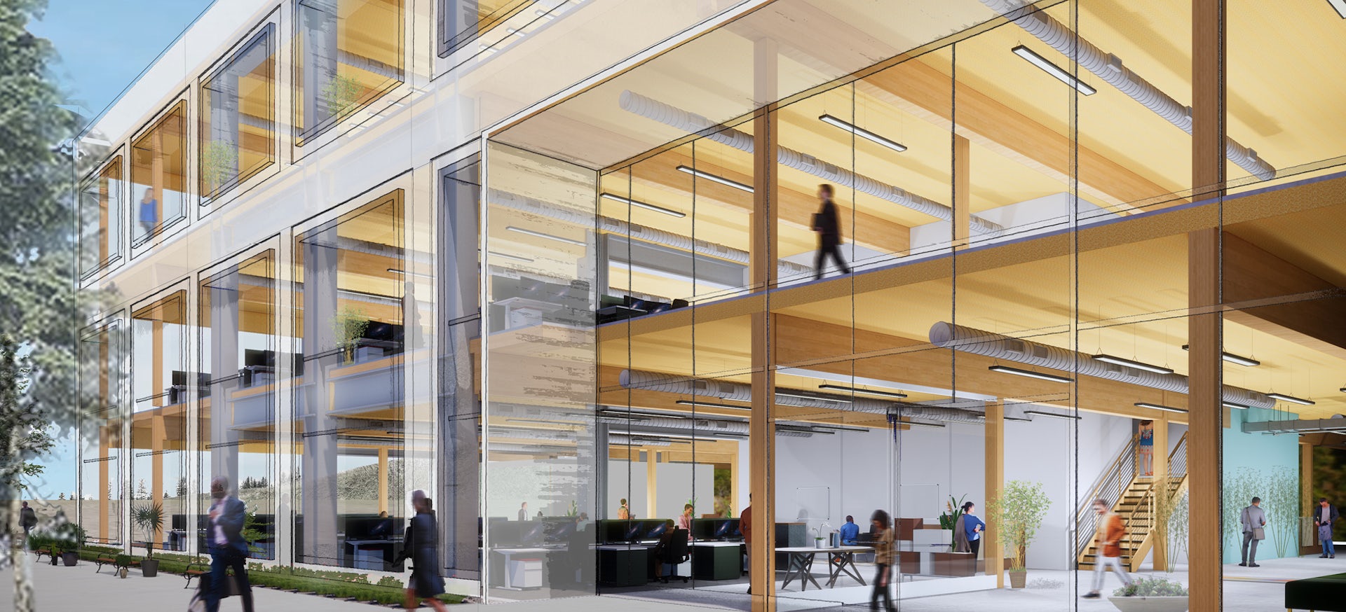 Timber Office Building Architecture