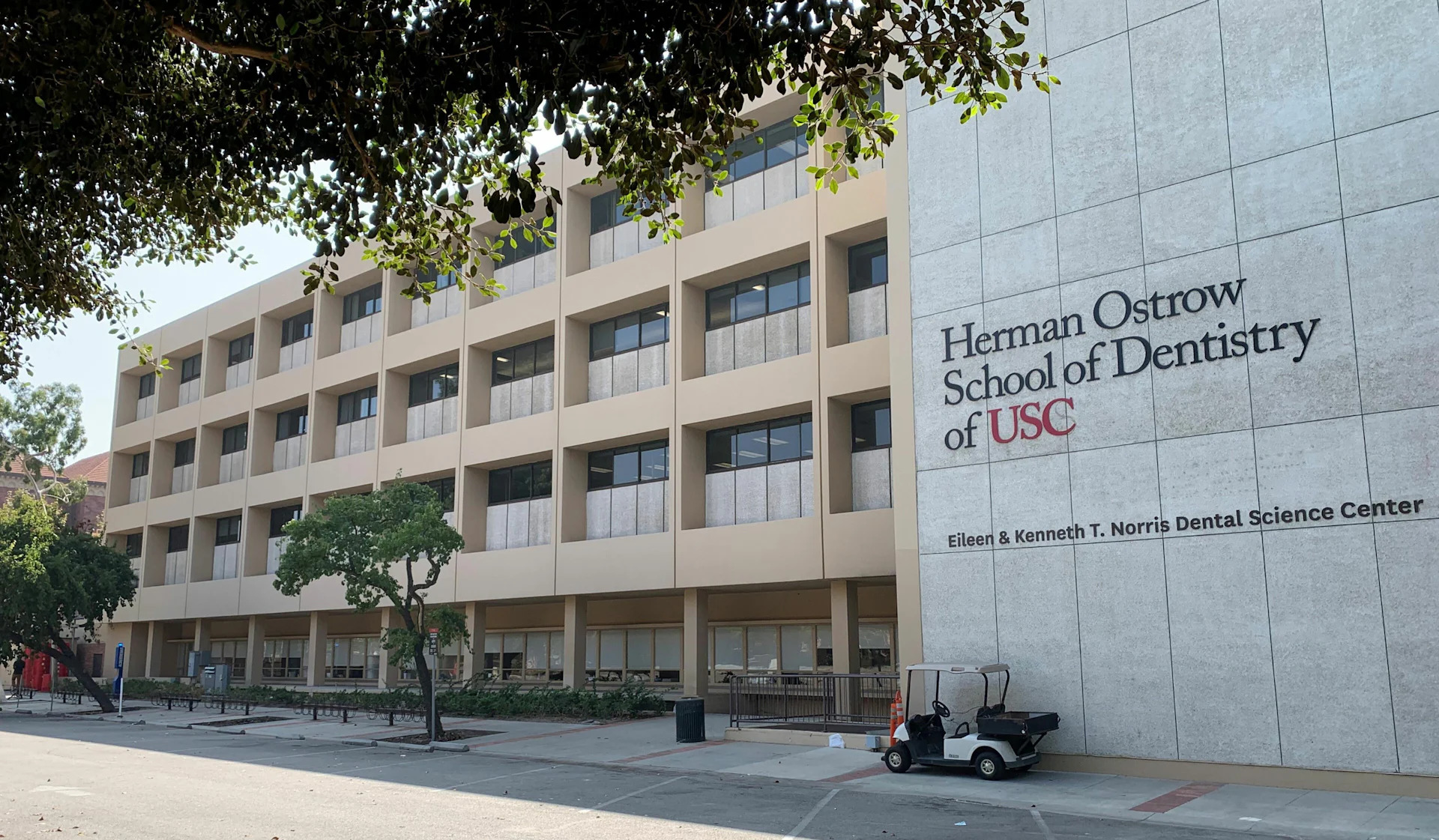 Herman Ostrow School of Dentistry Structural Improvements