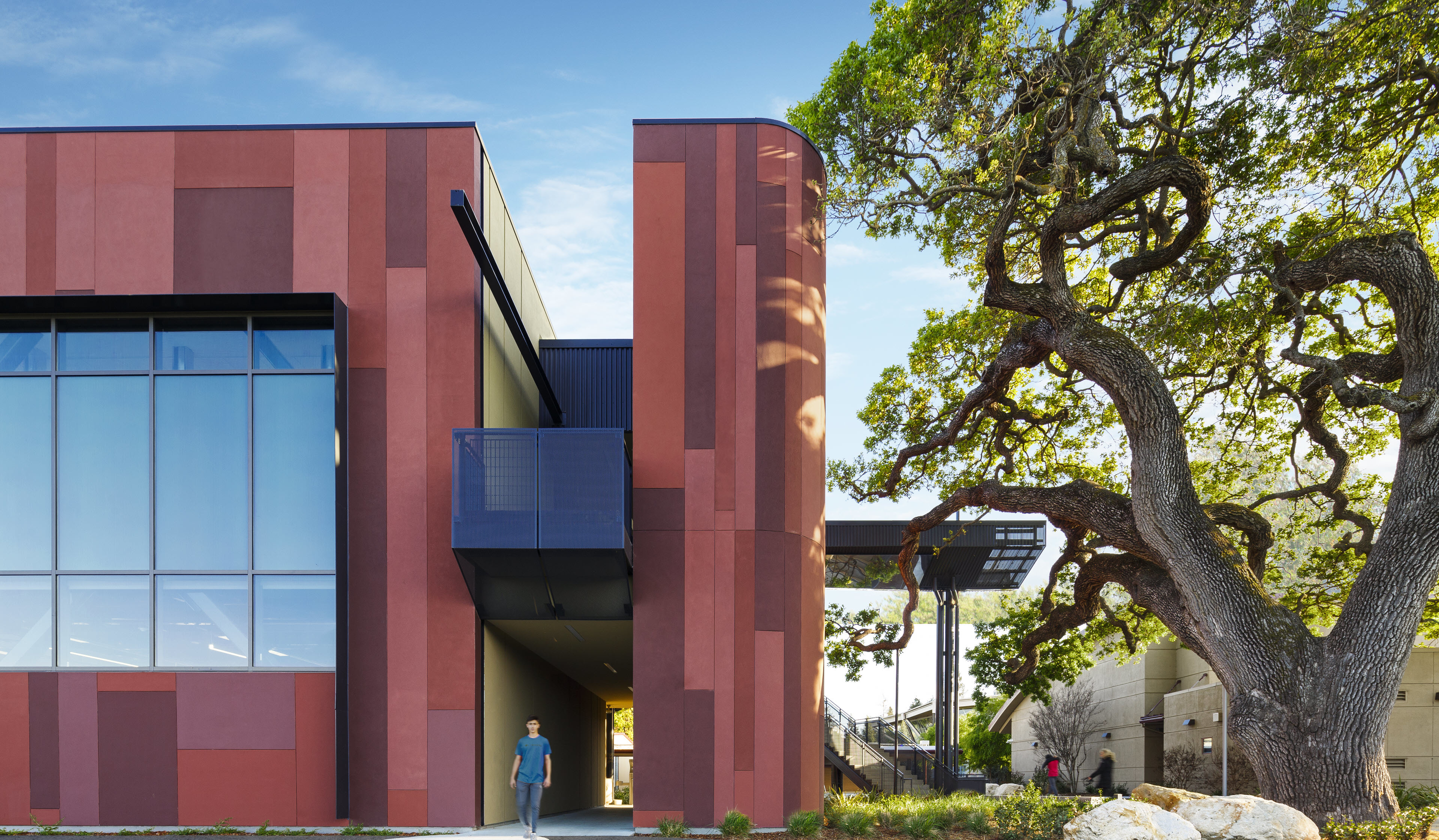 The Trees Tell the Story