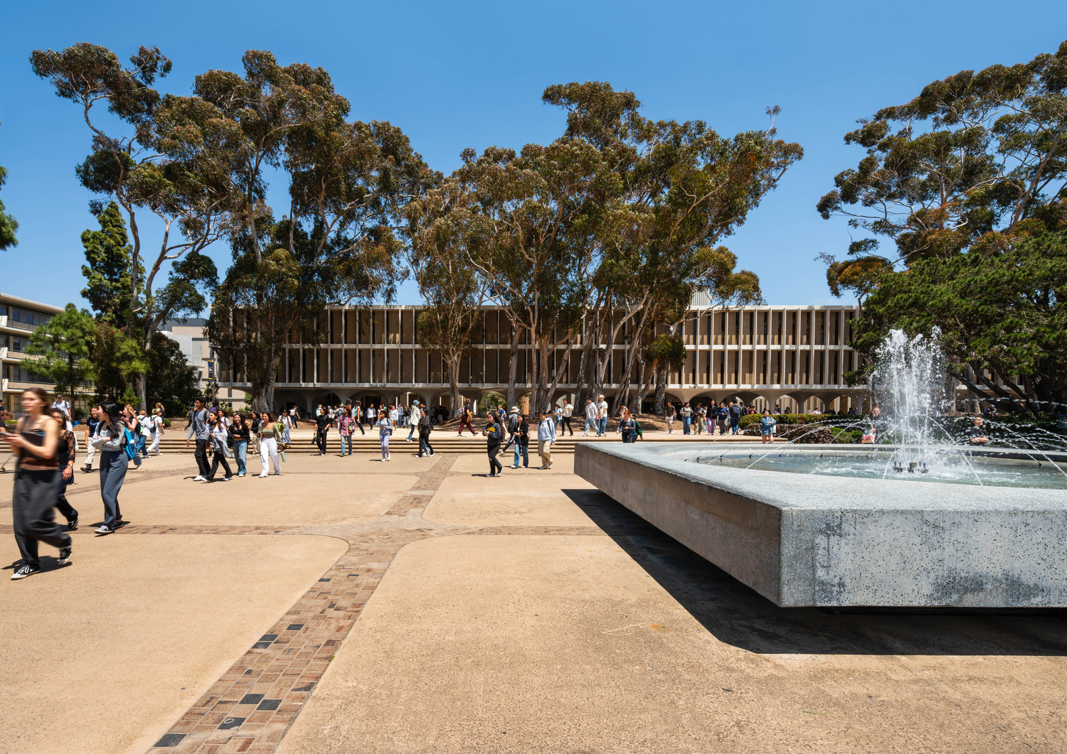 York Hall Project Image 2