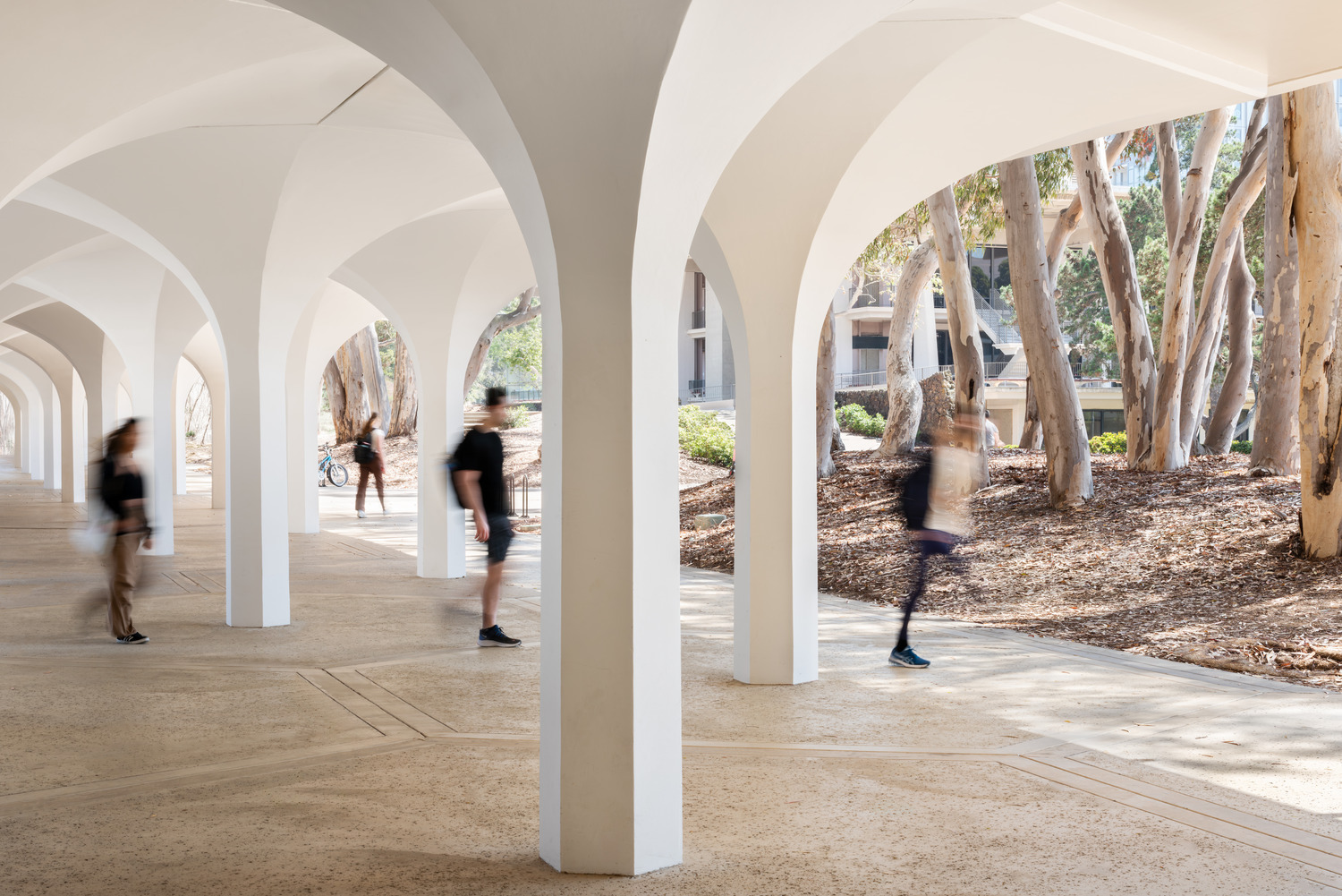 York Hall Project Image 4